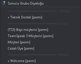 bilişimyedekyetkiler.png