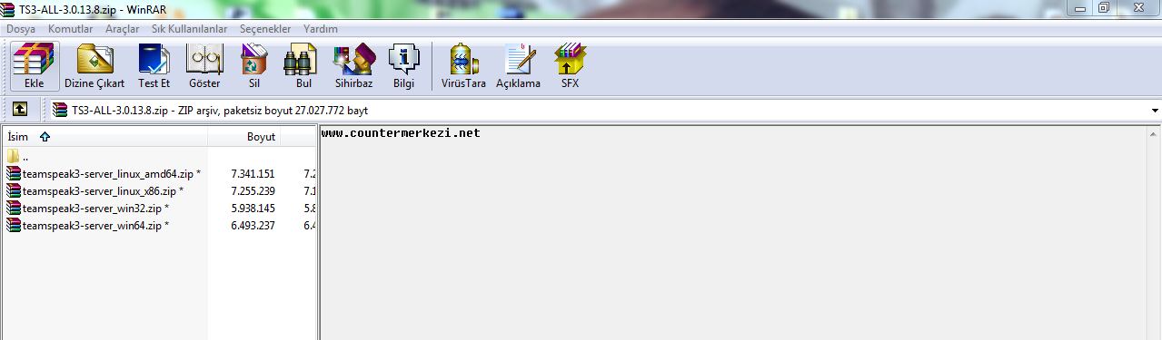 ts3x.PNG